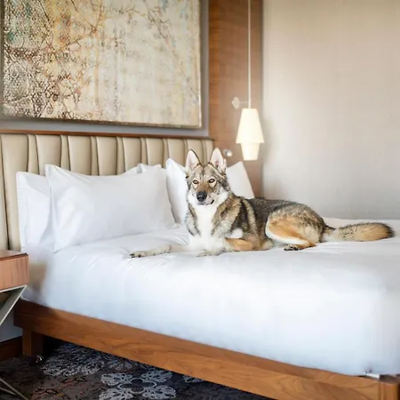 Doubletree By Hilton & Convention Center 4*