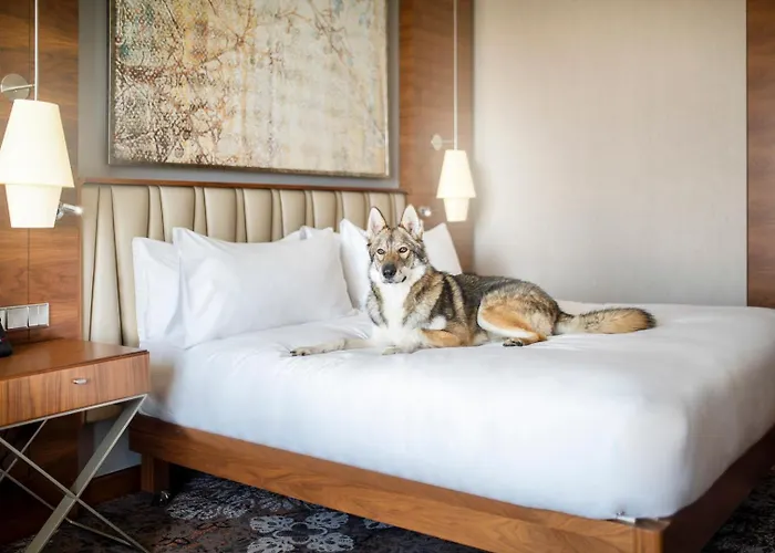 Doubletree By Hilton & Convention Center 4*